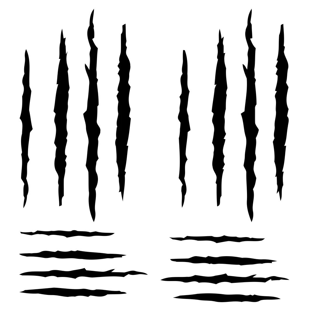 Scratches claw PNG image