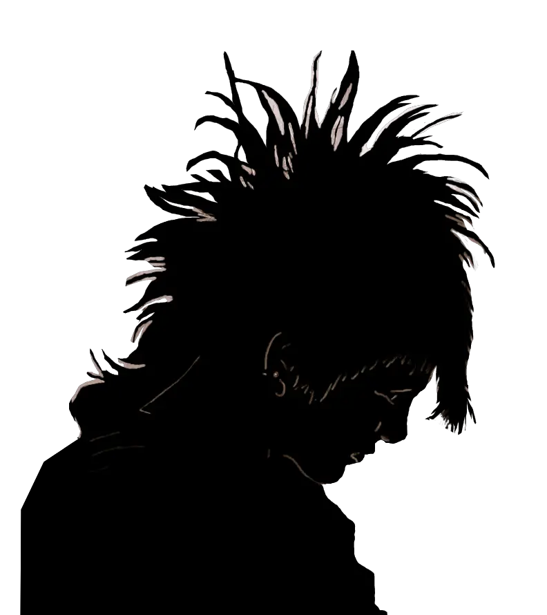 Punk hair PNG