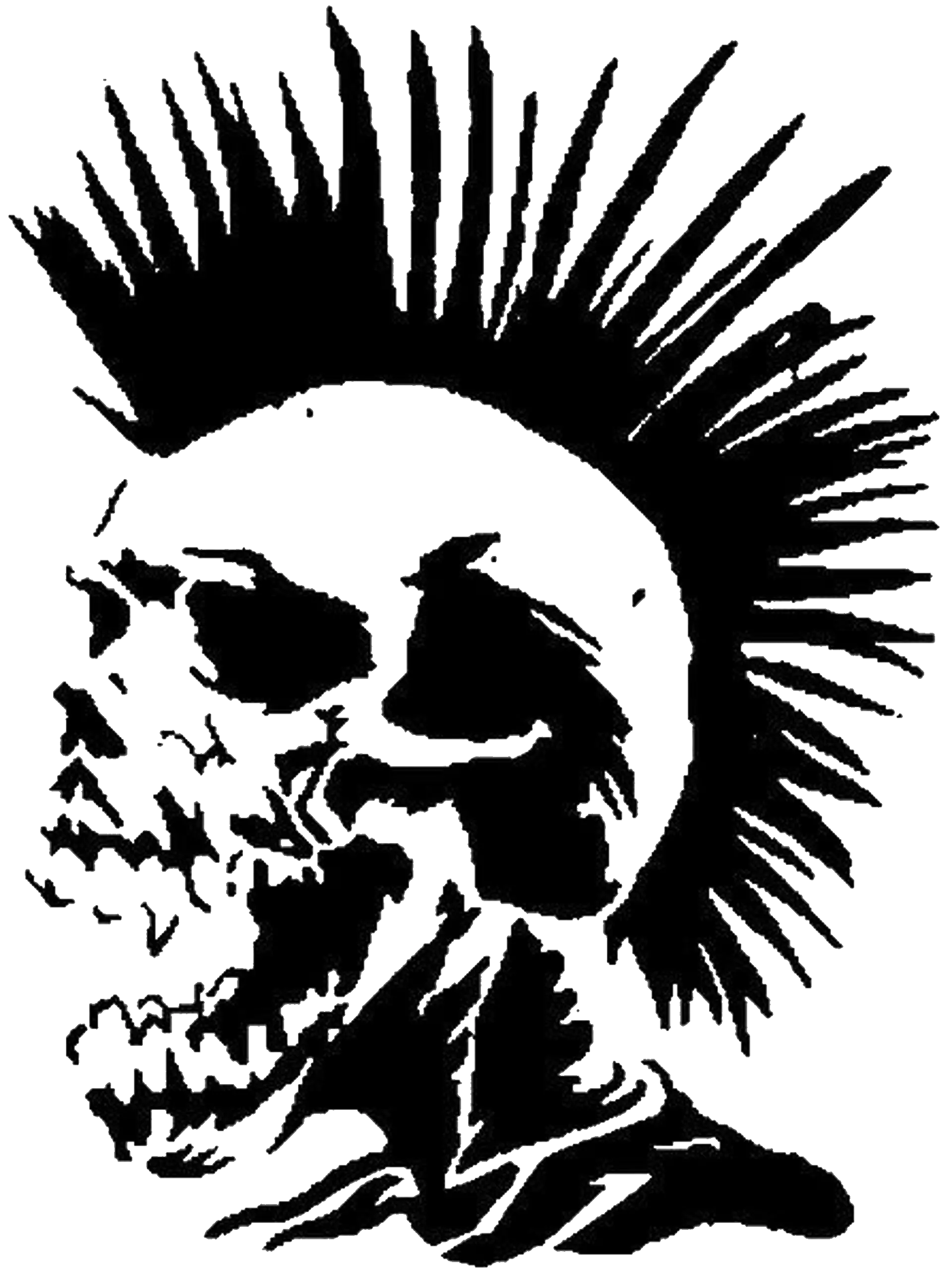 Punk hair skull PNG