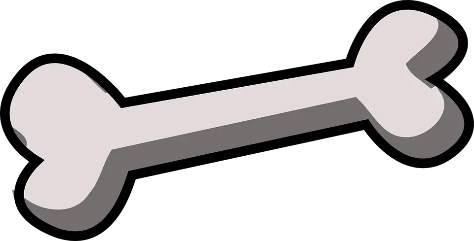 Bone PNG