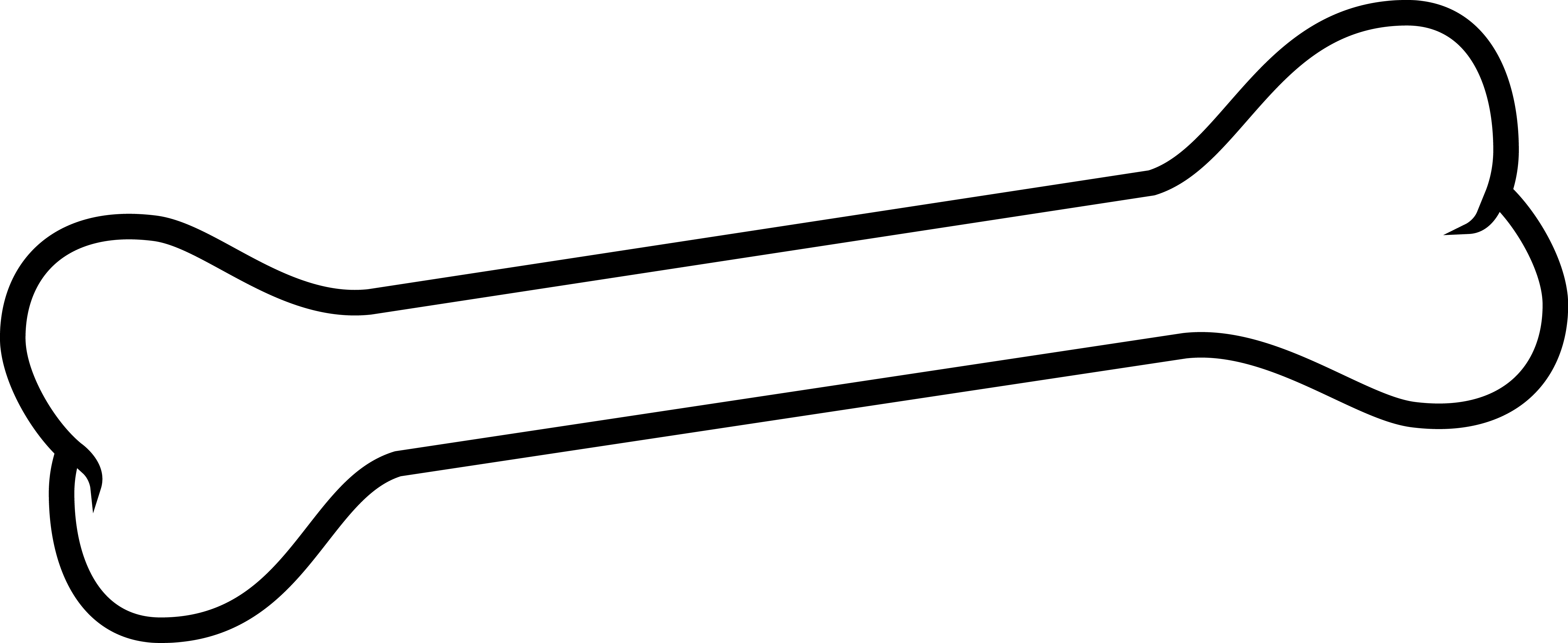 Bone PNG