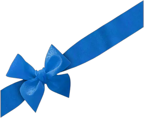 Blue bow PNG image