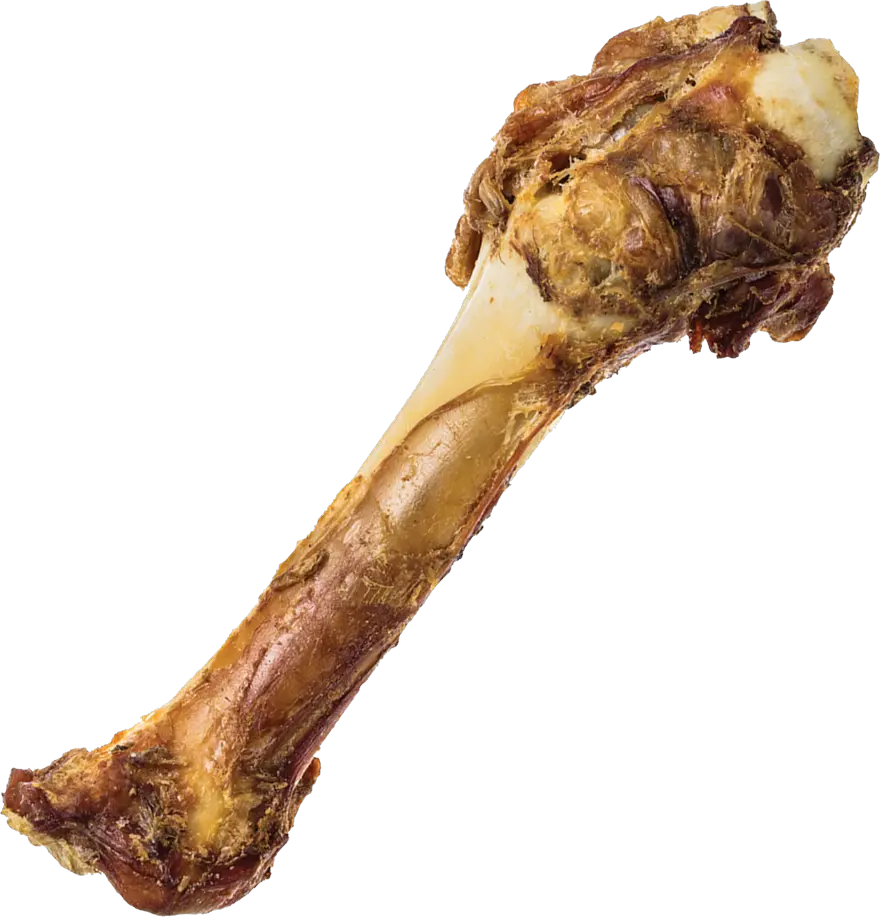 Bone PNG