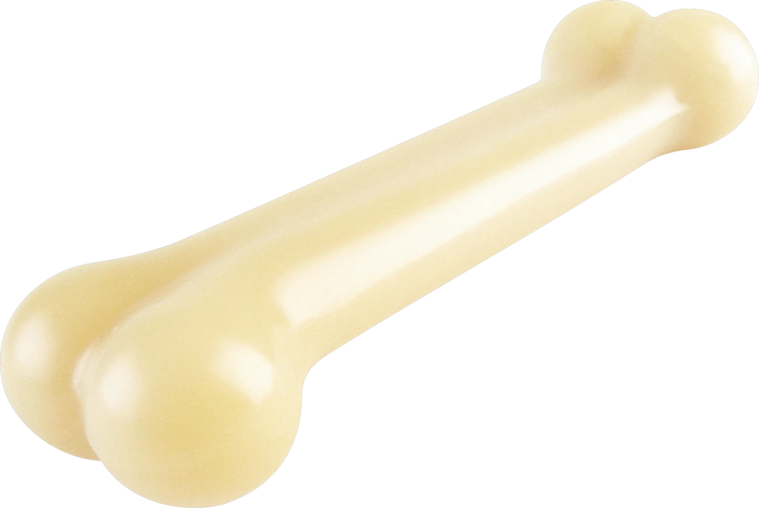 Bone PNG