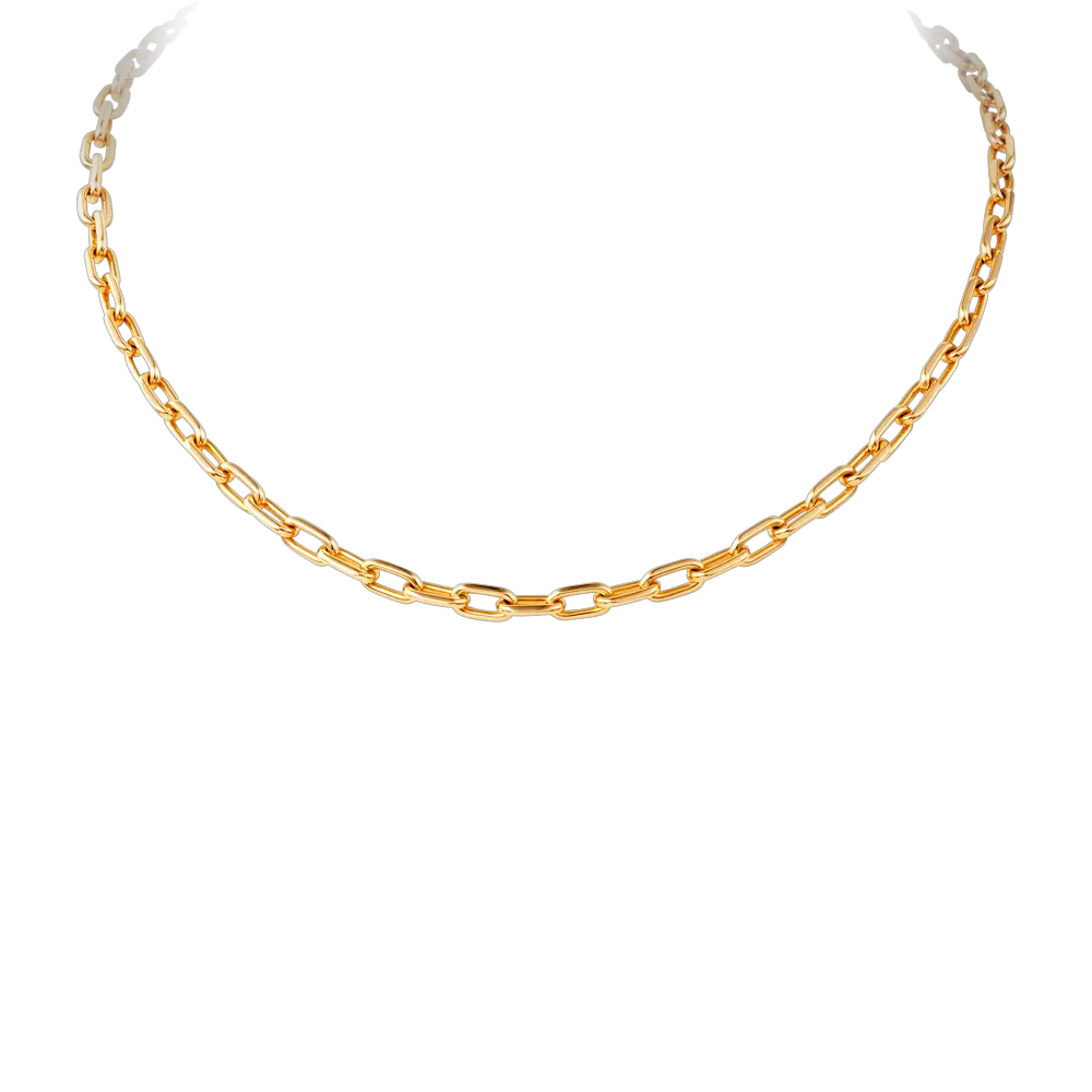 Jewelry PNG image