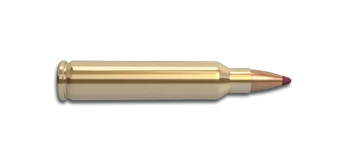 Bullets PNG image