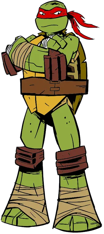 Ninja Turtles PNG