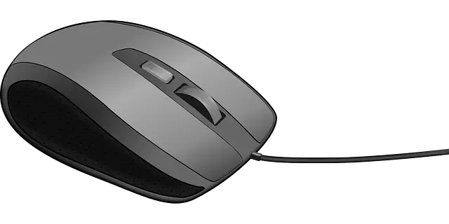 PC mouse PNG image