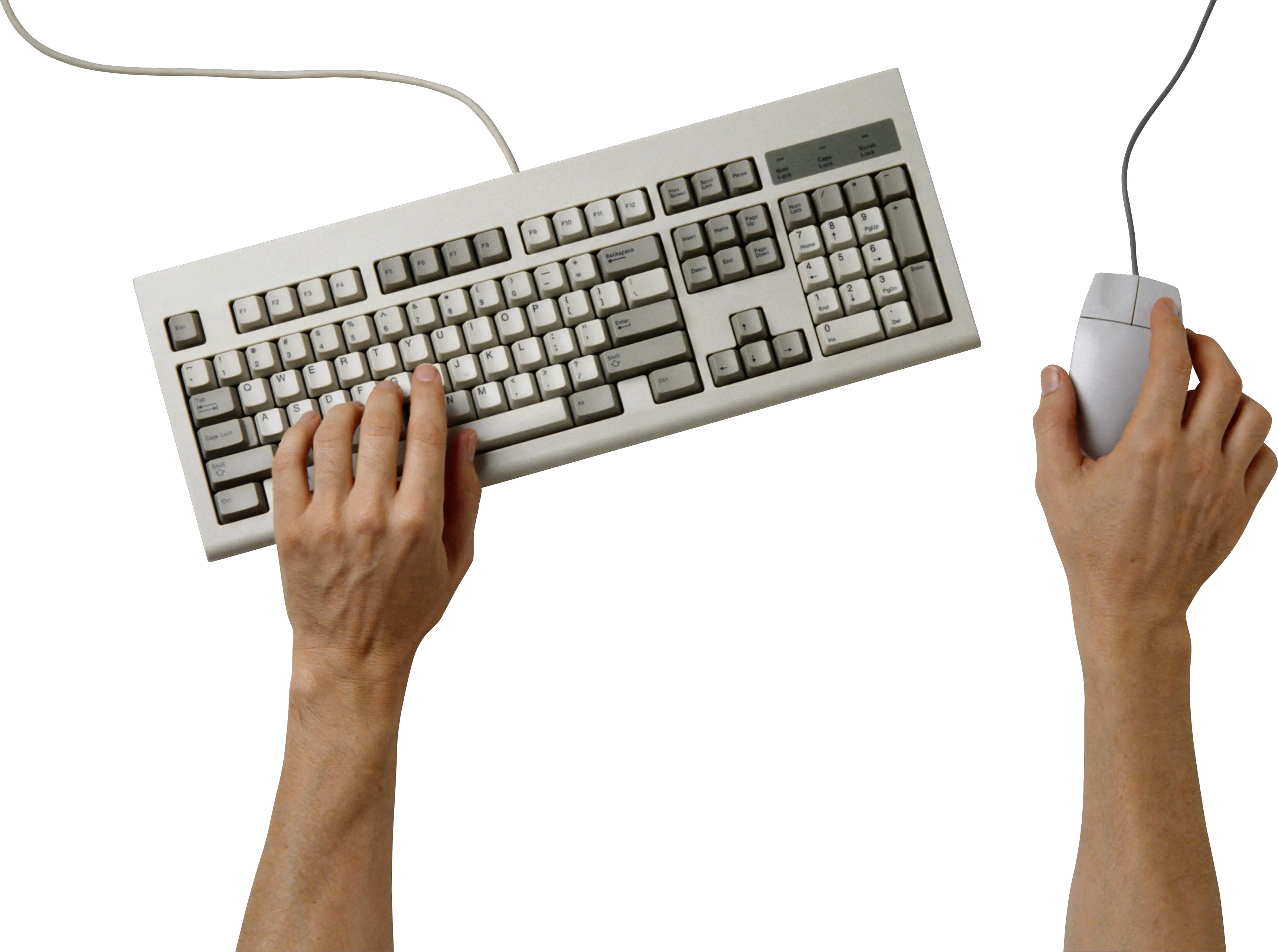 Hands on keyboard PNG image