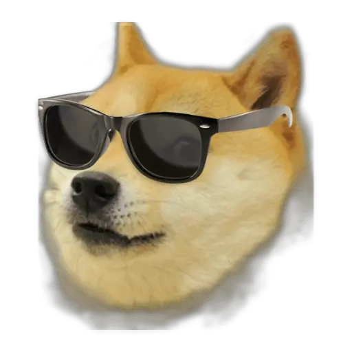 Doge (meme) PNG image