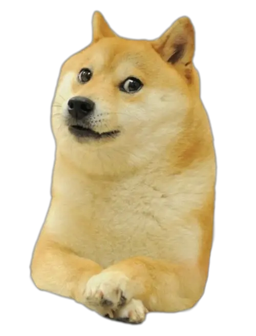 Doge (meme) PNG image