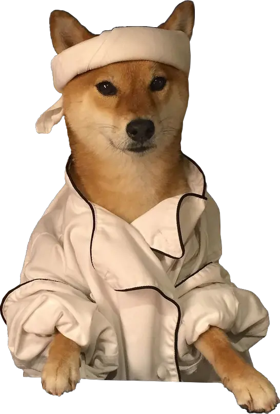 Doge (meme) PNG image
