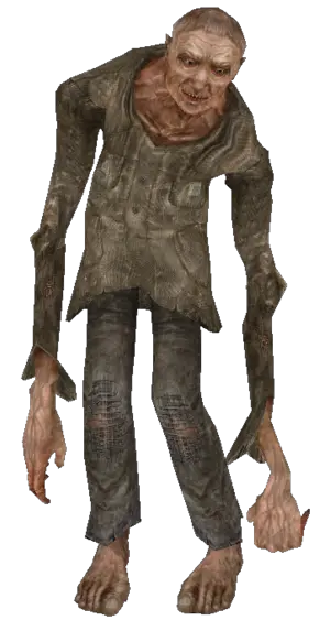 S.T.A.L.K.E.R. PNG Stalker PNG