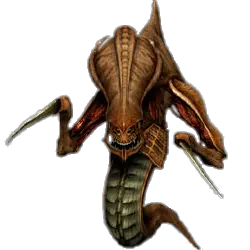Starcraft zerg PNG