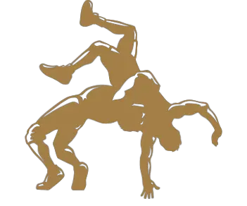 Wrestling PNG