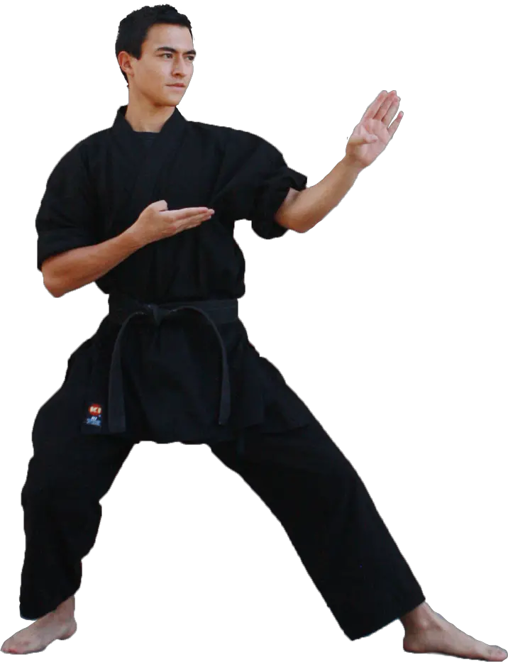 Karate PNG