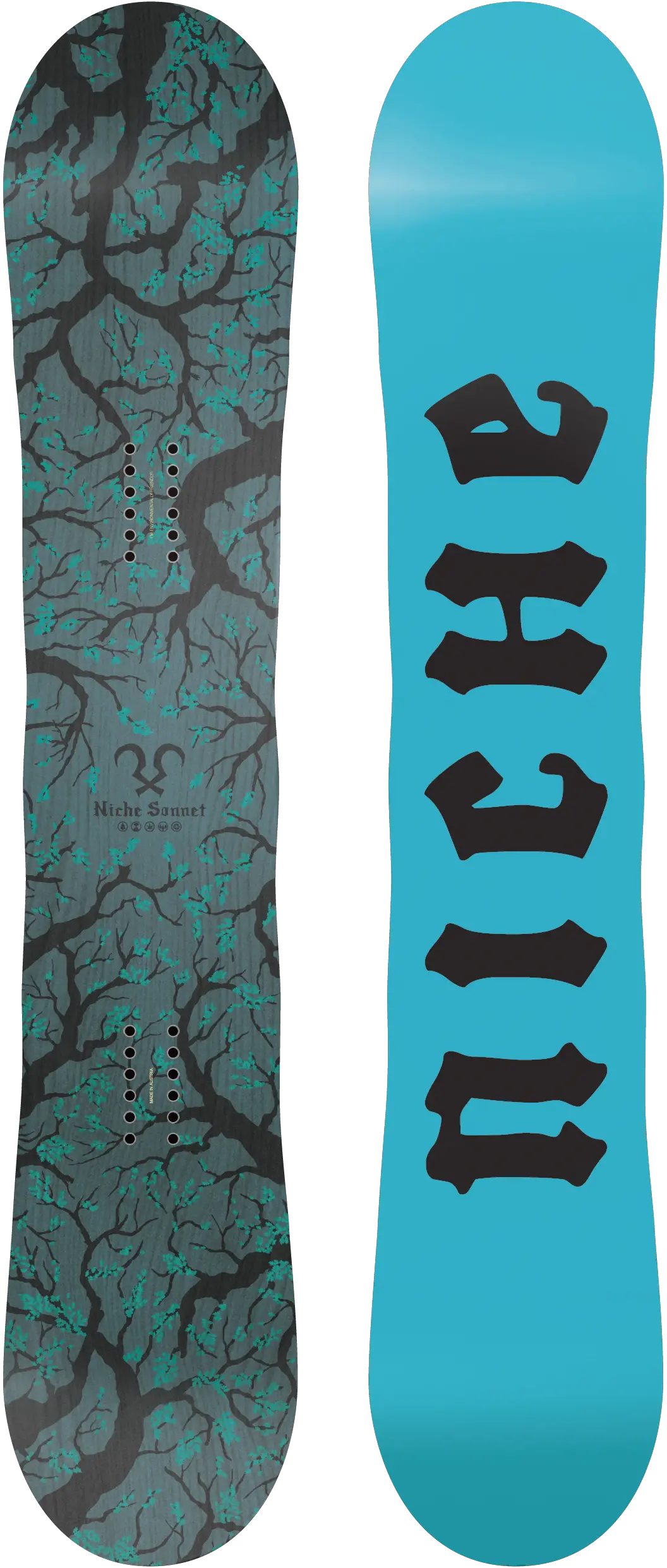 Snowboard PNG image