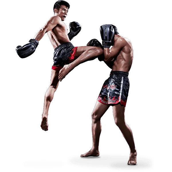 Mixed martial arts PNG MMA PNG