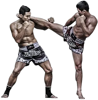 Mixed martial arts PNG MMA PNG