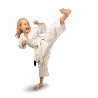 Karate PNG
