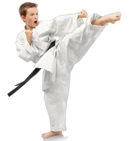 Karate PNG