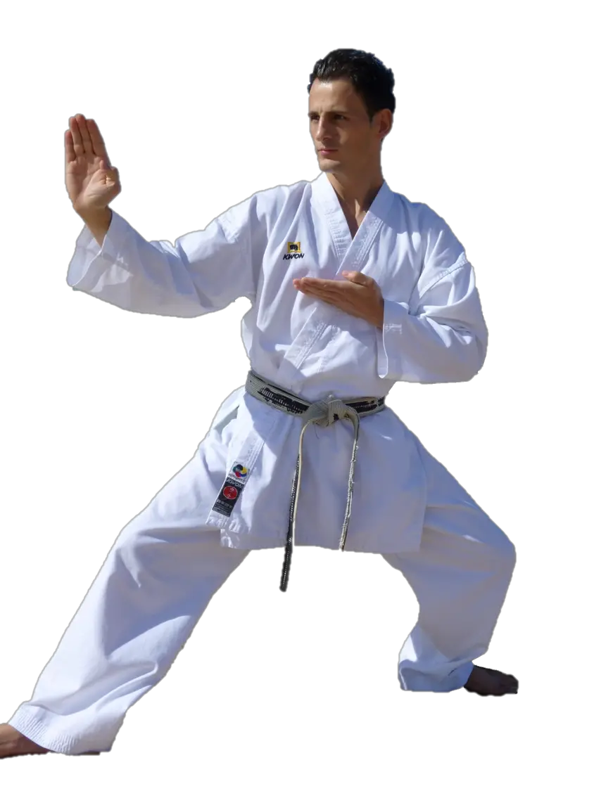 Karate PNG