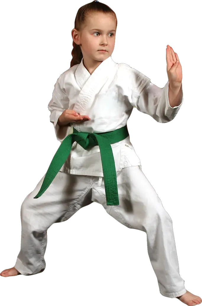 Karate PNG