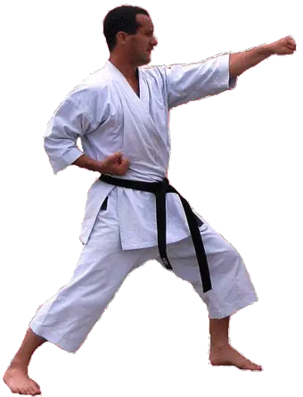 Karate PNG