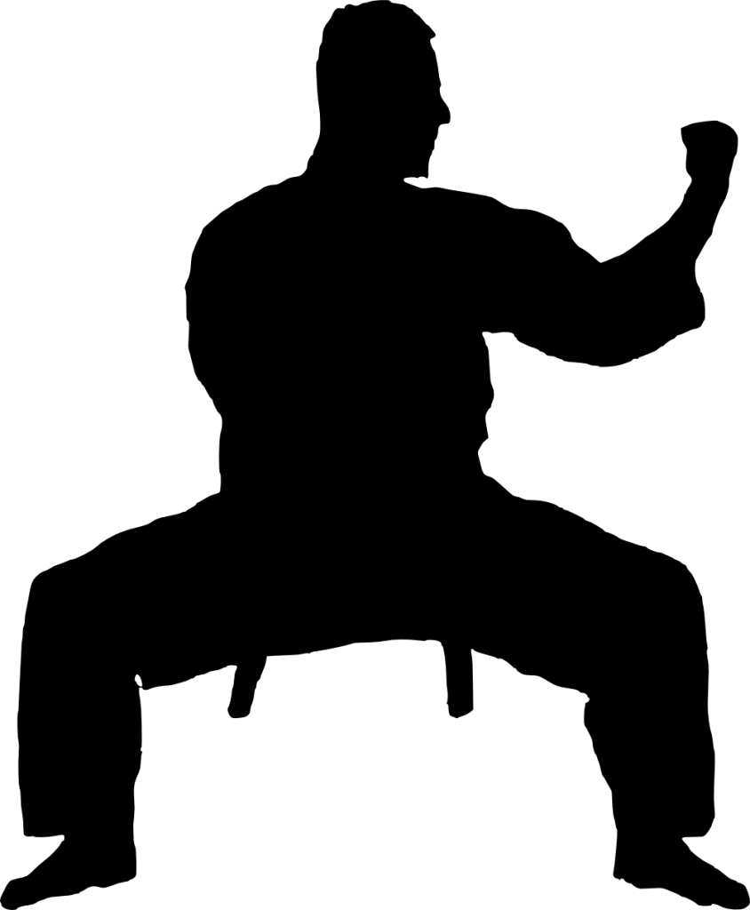 Karate siluete PNG