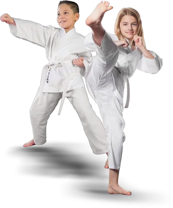 Karate PNG