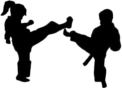 Karate siluete PNG