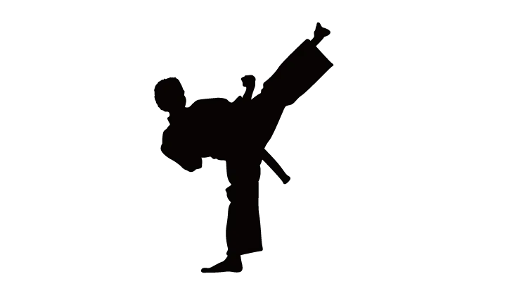 Karate siluete PNG