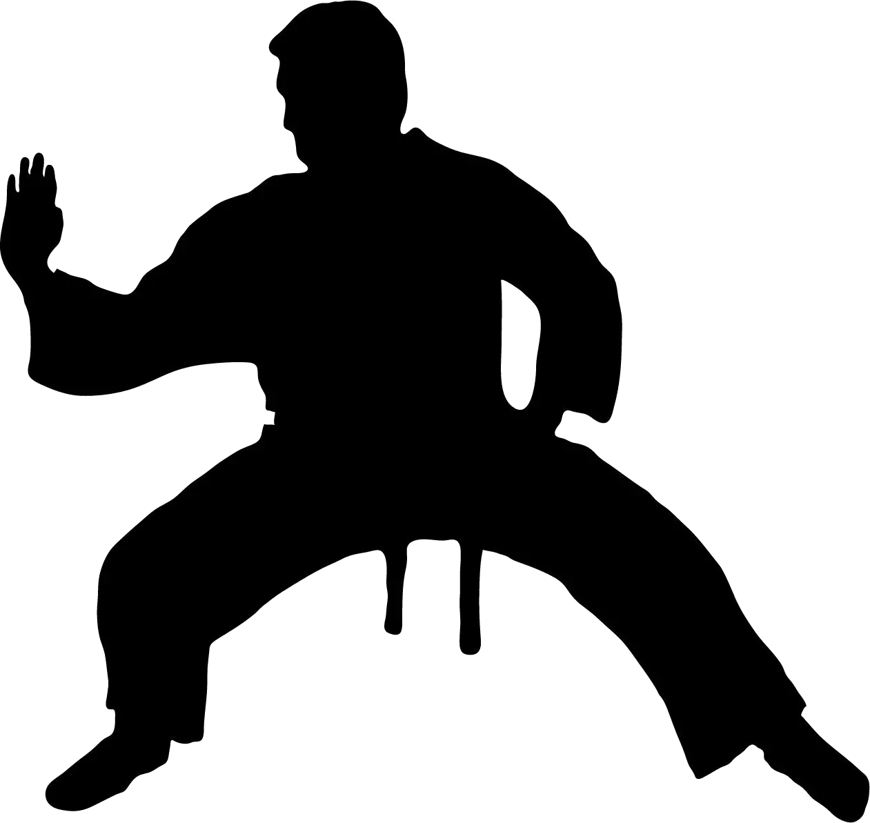 Karate siluete PNG