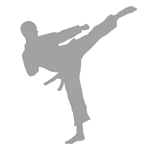 Karate siluete PNG
