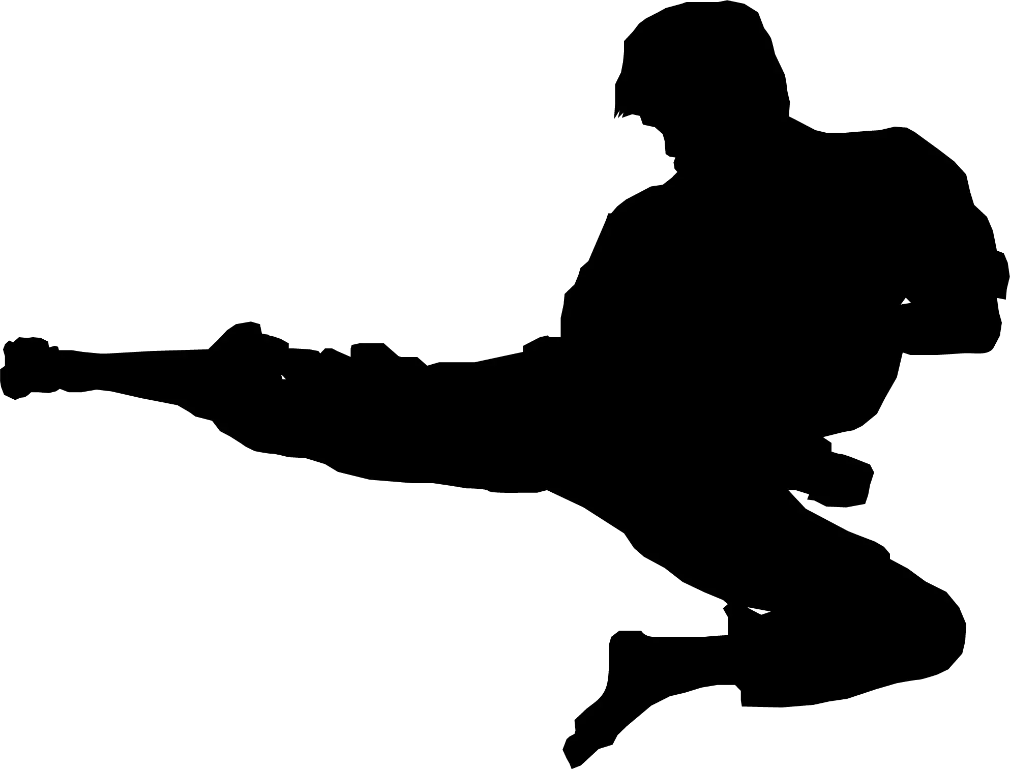 Karate siluete PNG