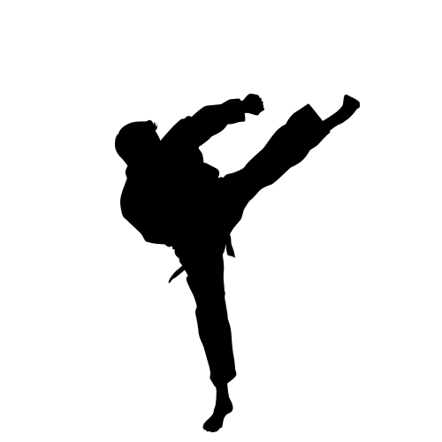 Karate siluete PNG