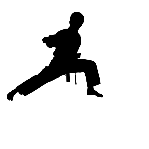 Karate siluete PNG