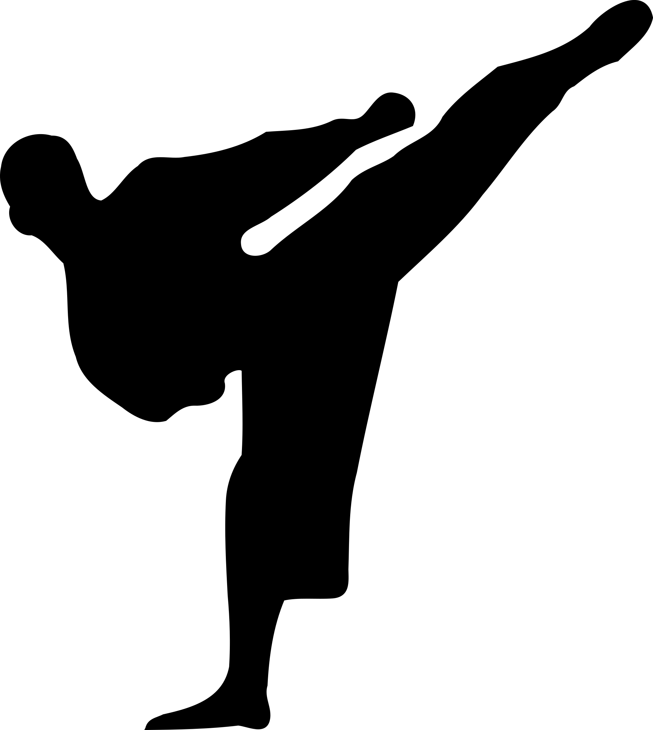 Karate siluete PNG