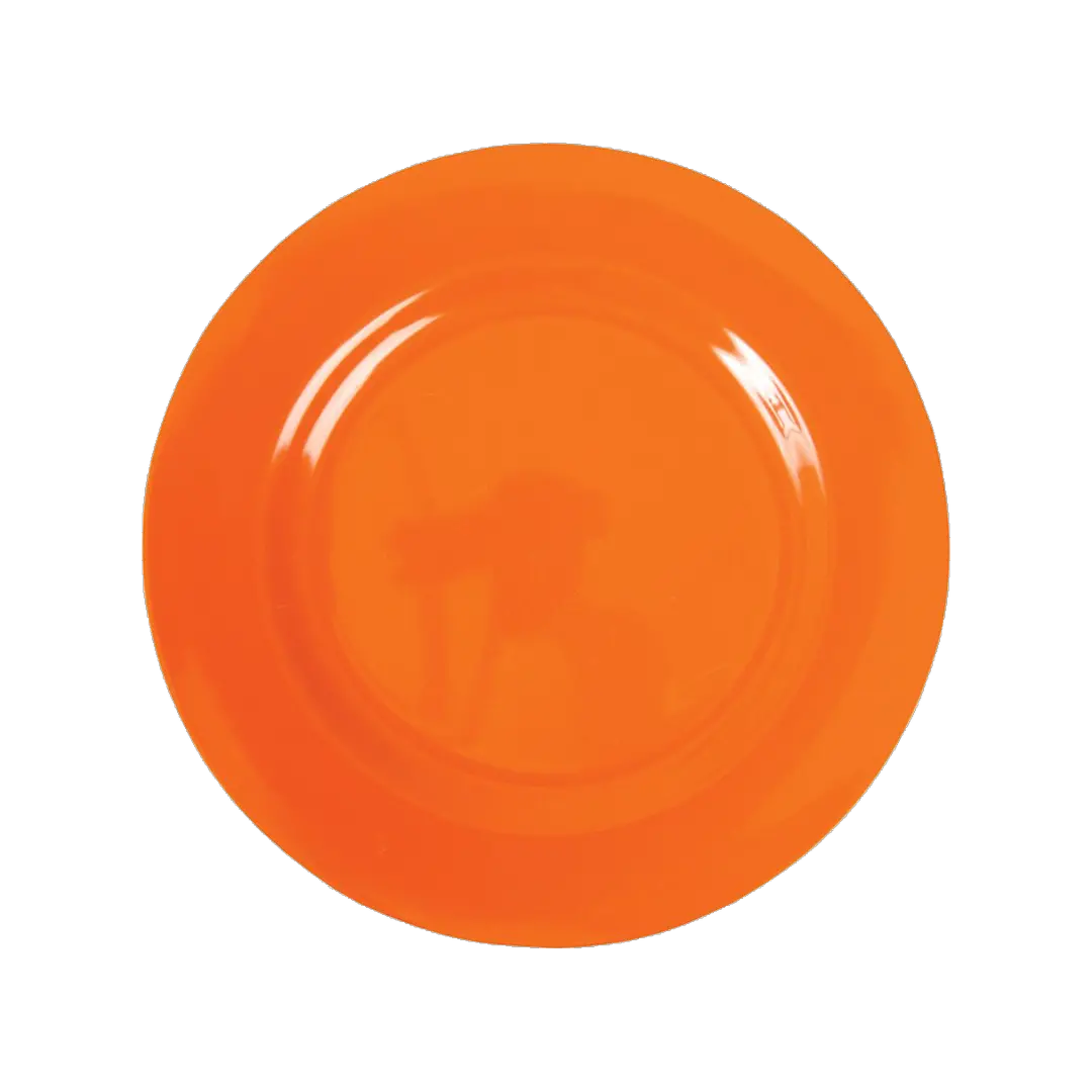 Ornage plate dish PNG image