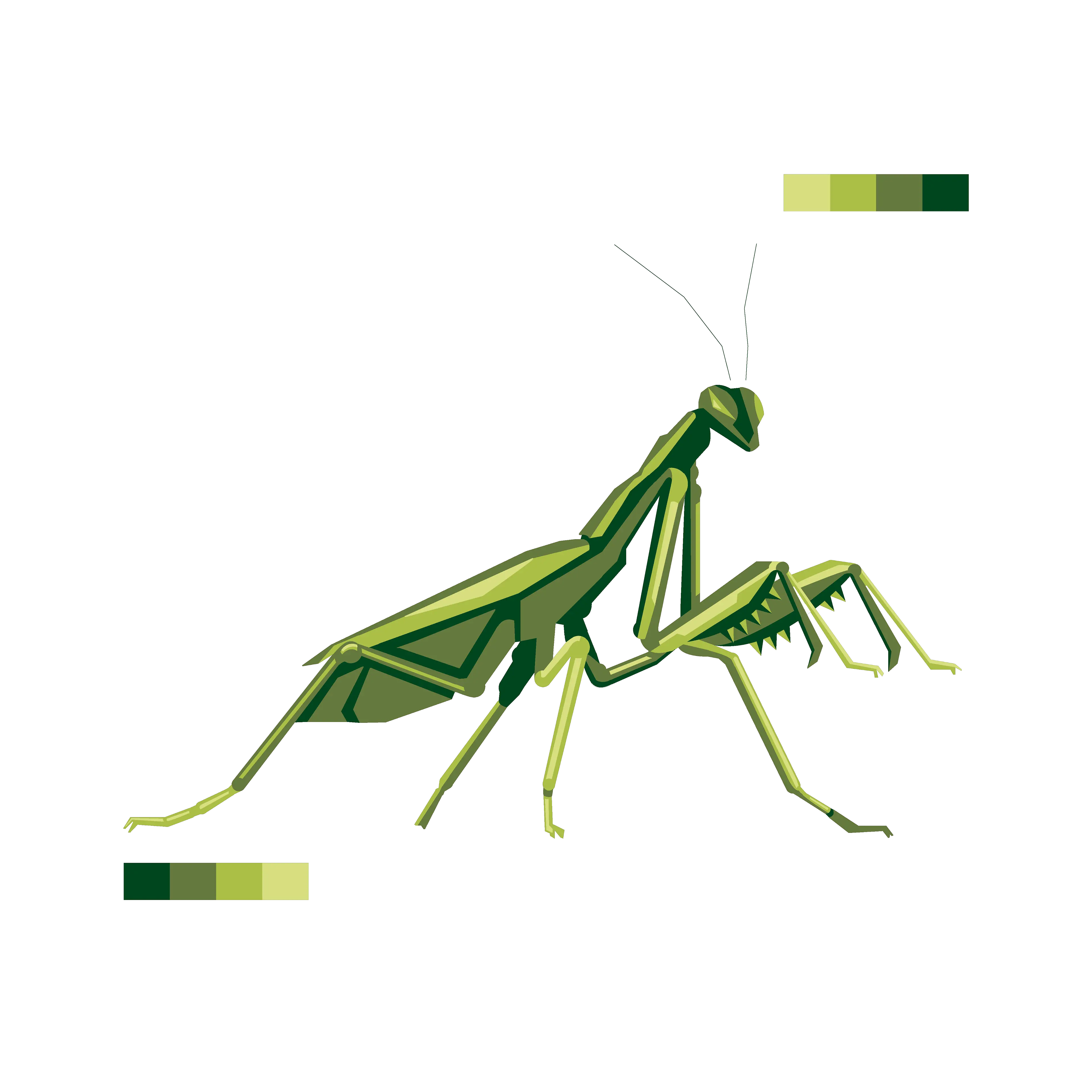 Mantis PNG