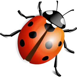 ladybug PNG image