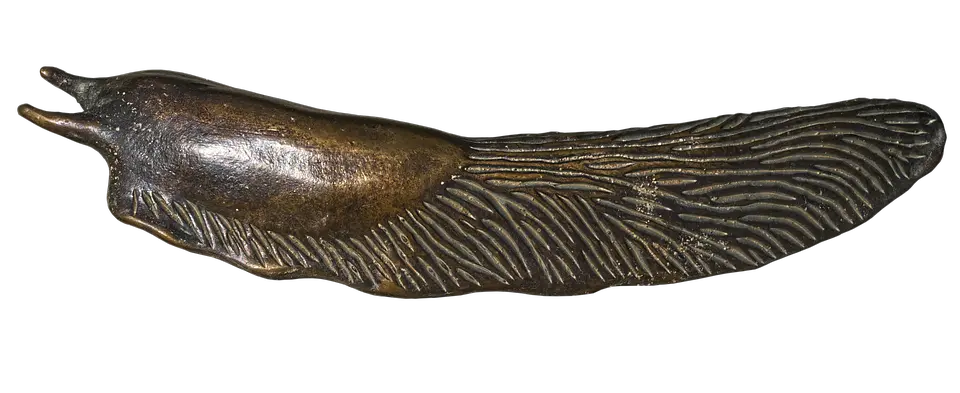 Slug PNG