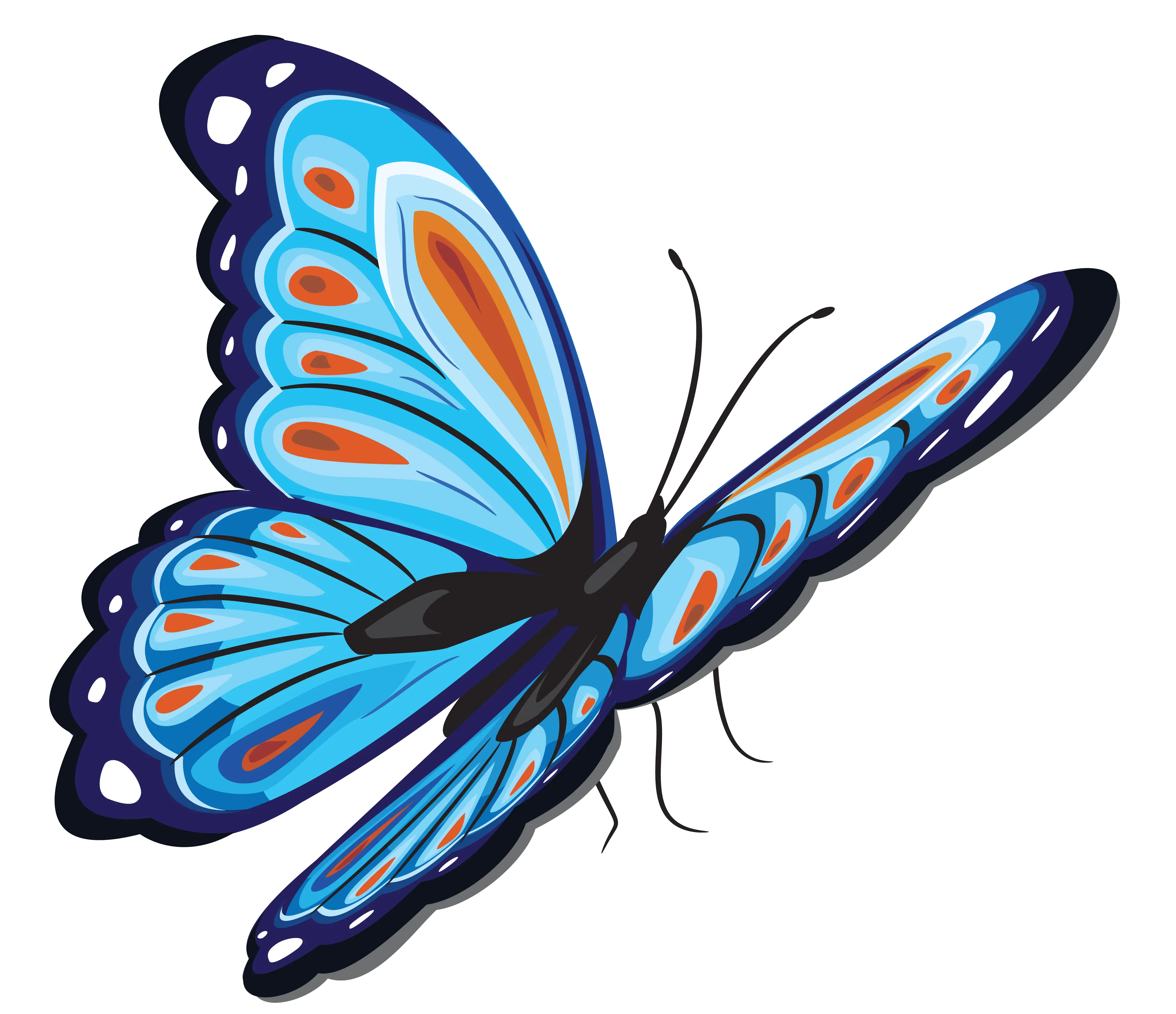 Butterfly PNG blue