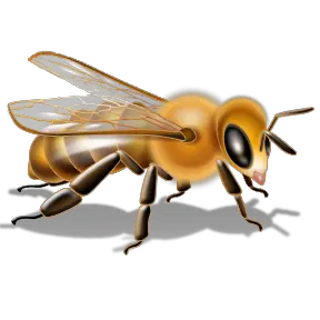 Bee PNG