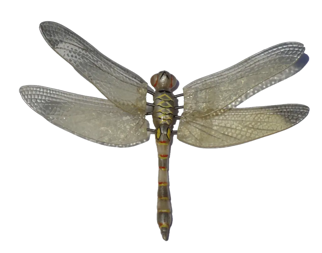 Dragonfly PNG