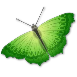 Butterfly PNG image