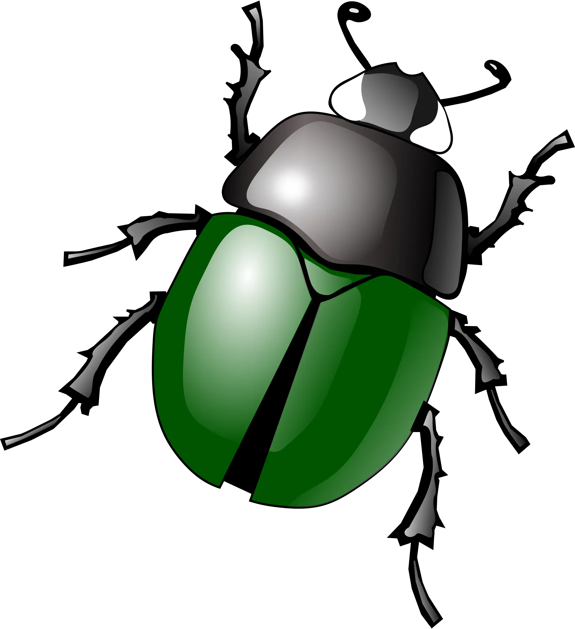 bug PNG image