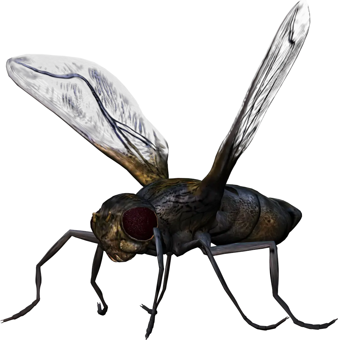 bug PNG image