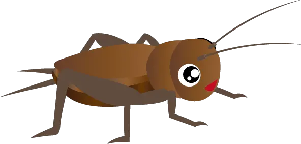 Cricket insect PNG