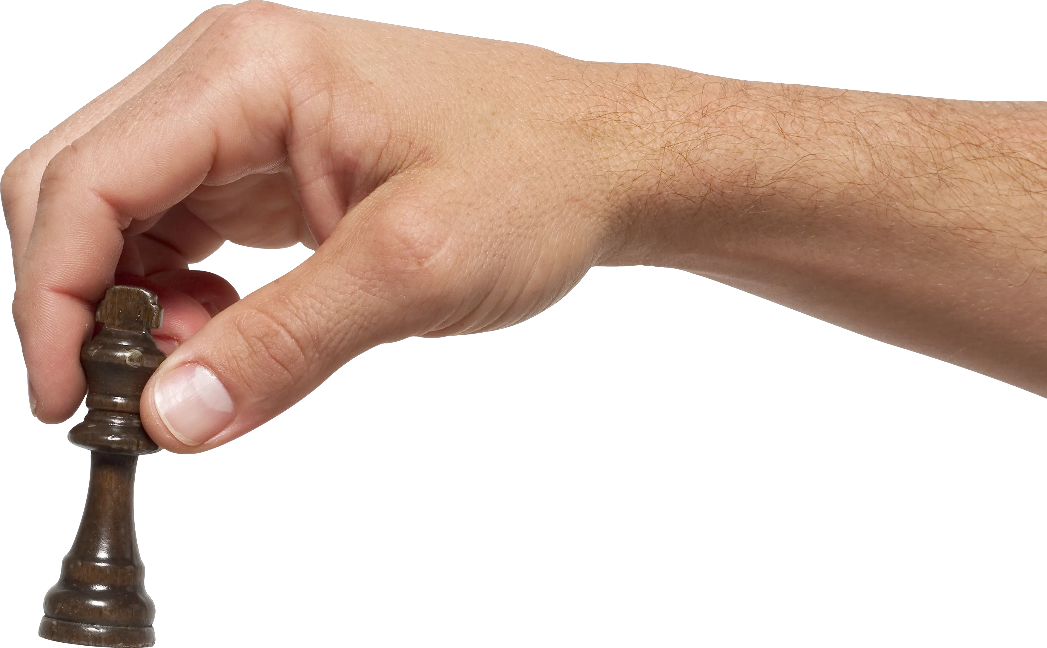 Chess in hand PNG image
